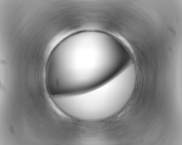 X0000091341343200708101012