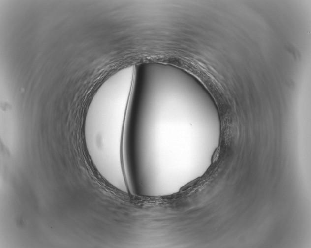 X0000091341345200708101012