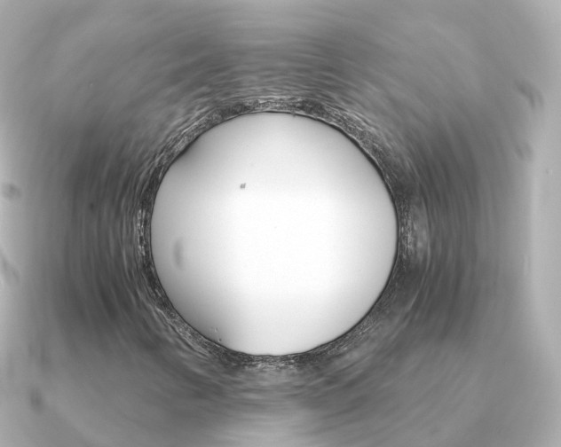 X0000091341346200708101012