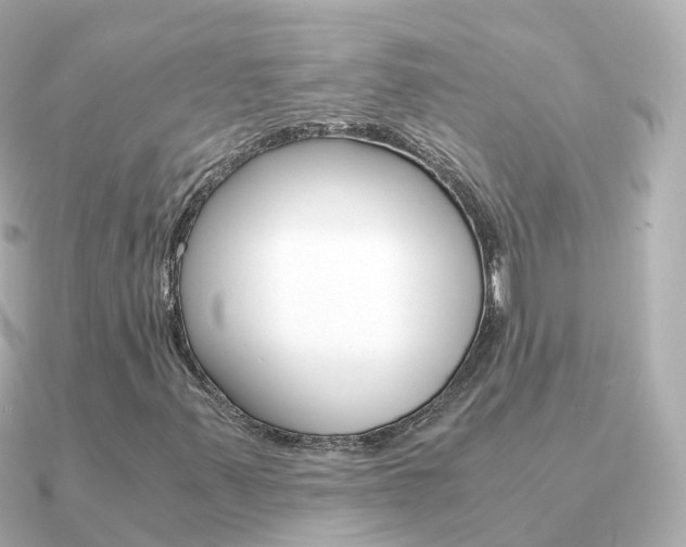 X0000091341347200708101012