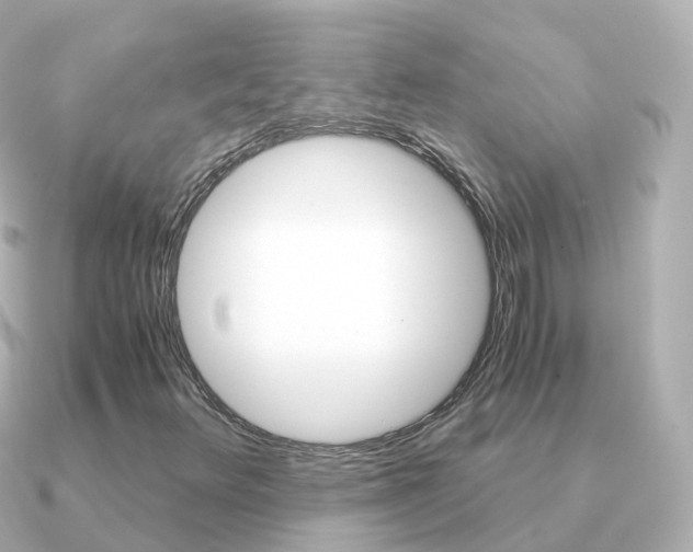 X0000091341348200708101012