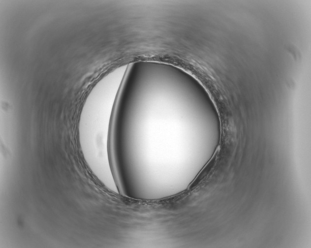X0000091341349200708101012