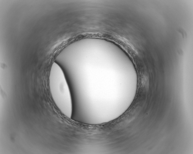 X0000091341350200708101012