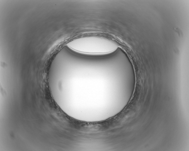 X0000091341351200708101012