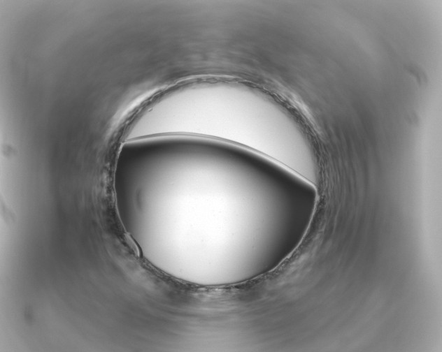 X0000091341352200708101012