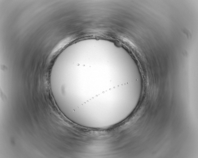 X0000091341354200708101012