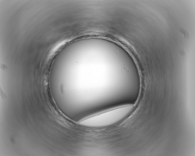 X0000091341355200708101012