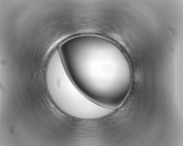 X0000091341356200708101012