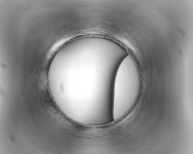 X0000091341358200708101012