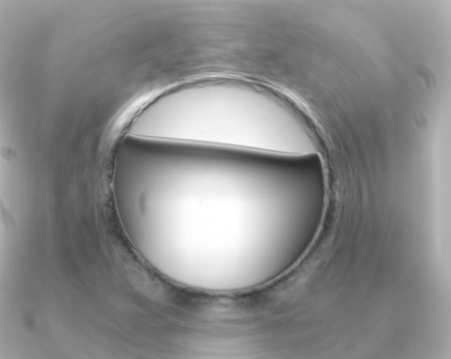X0000091341359200708101012