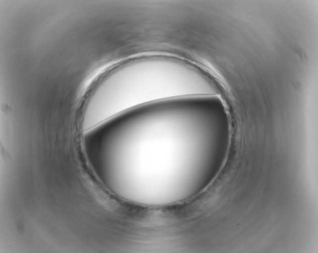 X0000091341360200708101012