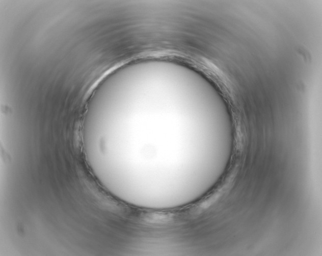 X0000091341361200708101012