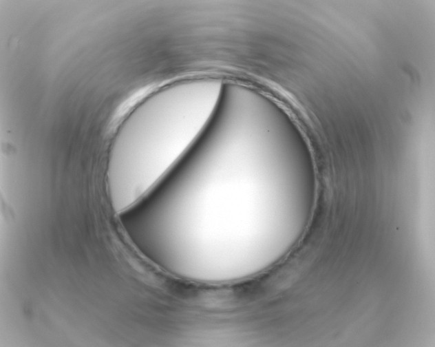 X0000091341363200708101012