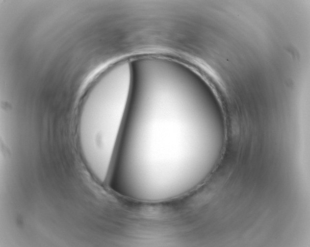 X0000091341364200708101012