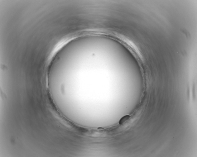 X0000091341365200708101012