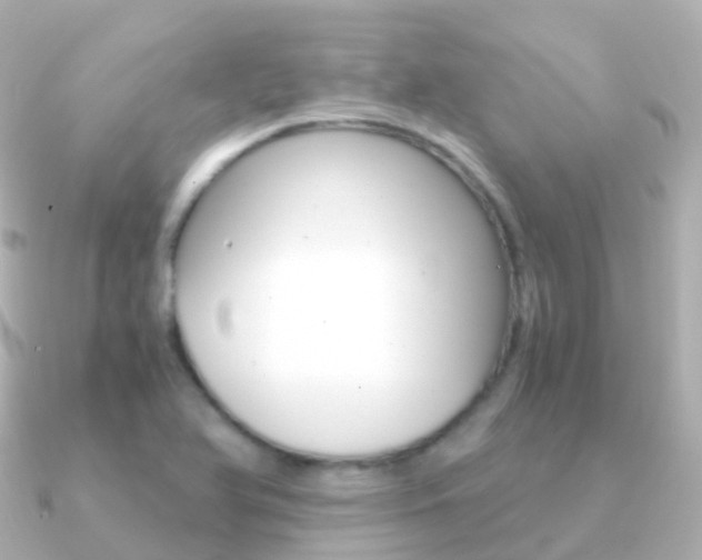 X0000091341366200708101012
