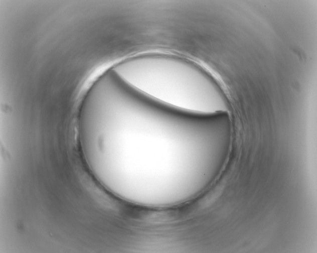 X0000091341367200708101012