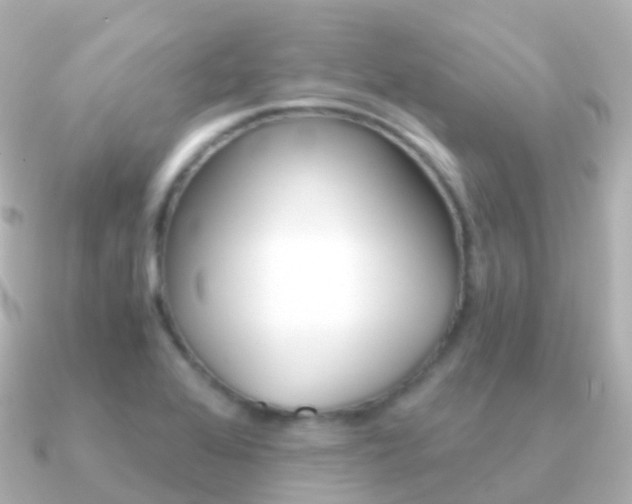 X0000091341368200708101012