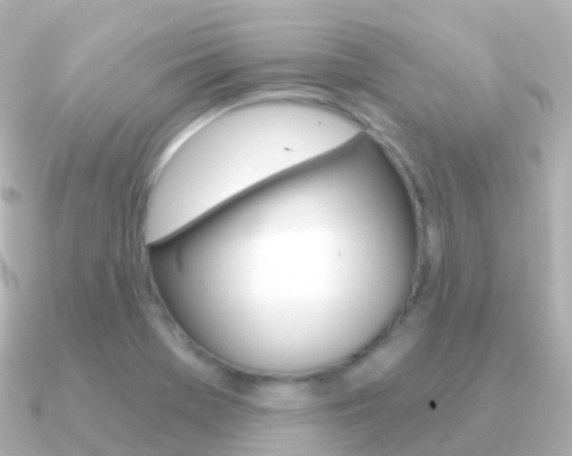 X0000091341369200708101012