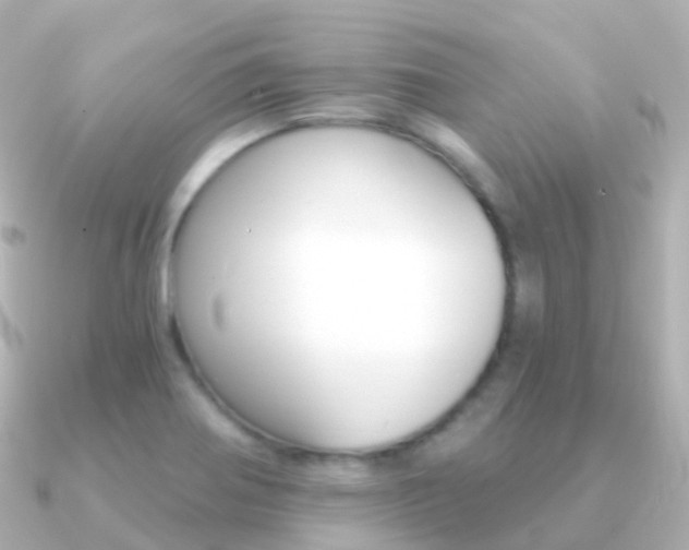 X0000091341370200708101012