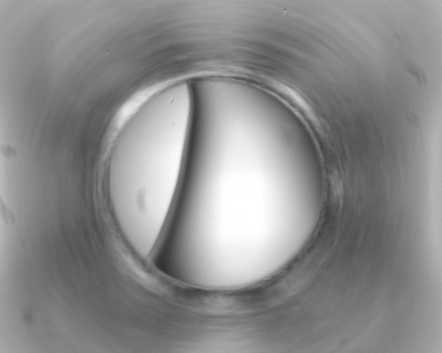 X0000091341371200708101012