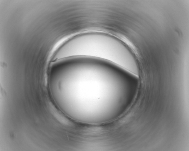 X0000091341372200708101012