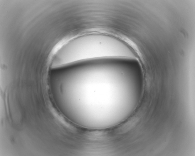 X0000091341373200708101012