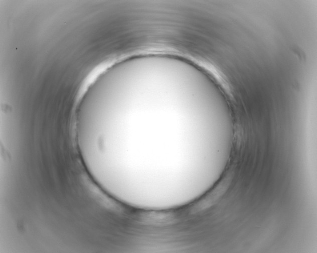 X0000091341374200708101012