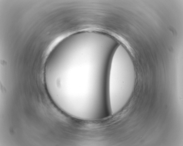 X0000091341375200708101012