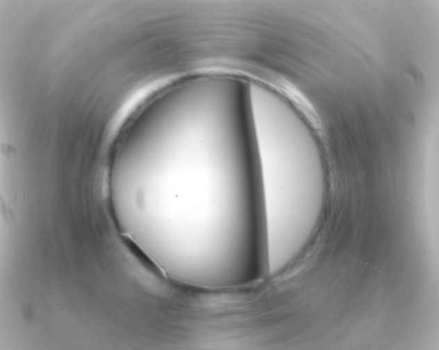 X0000091341376200708101012
