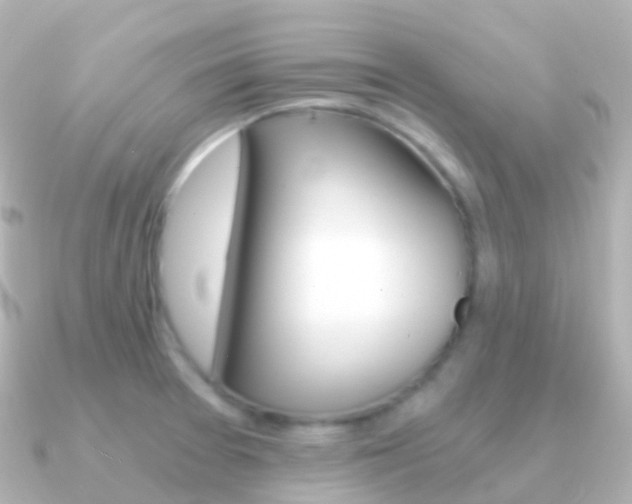 X0000091341377200708101012