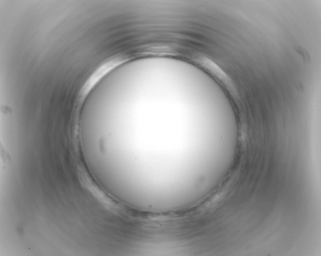 X0000091341378200708101012