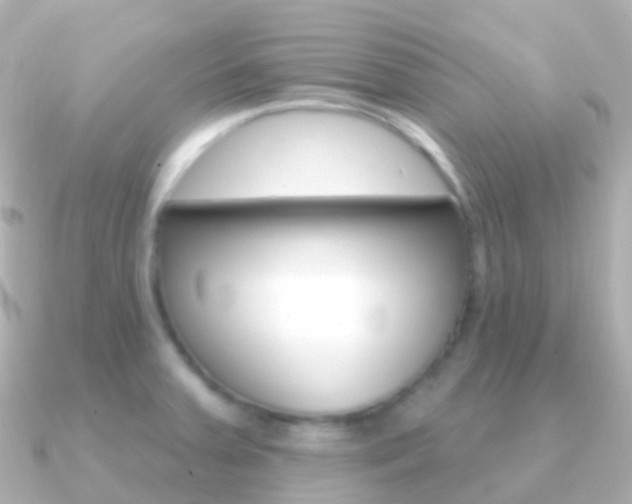 X0000091341379200708101012