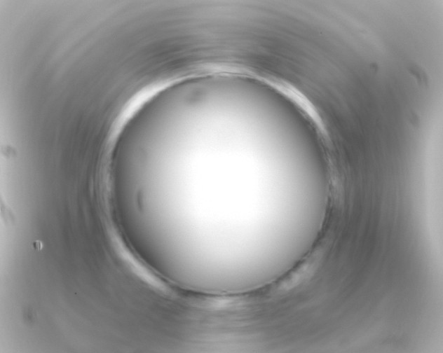 X0000091341381200708101012