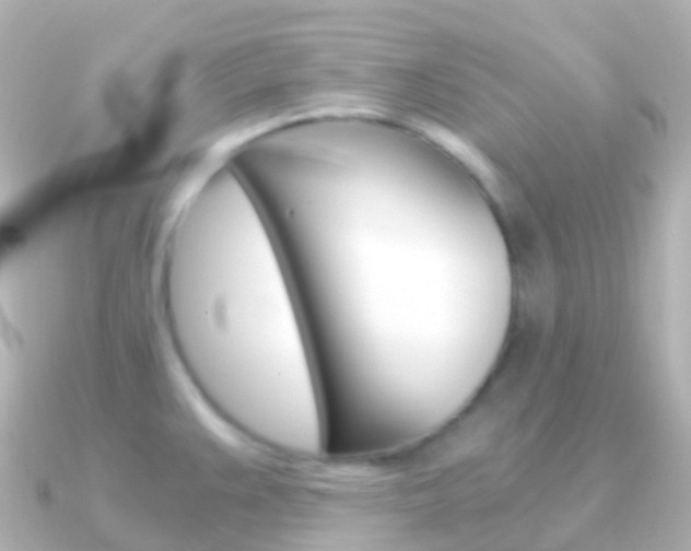 X0000091341383200708101012
