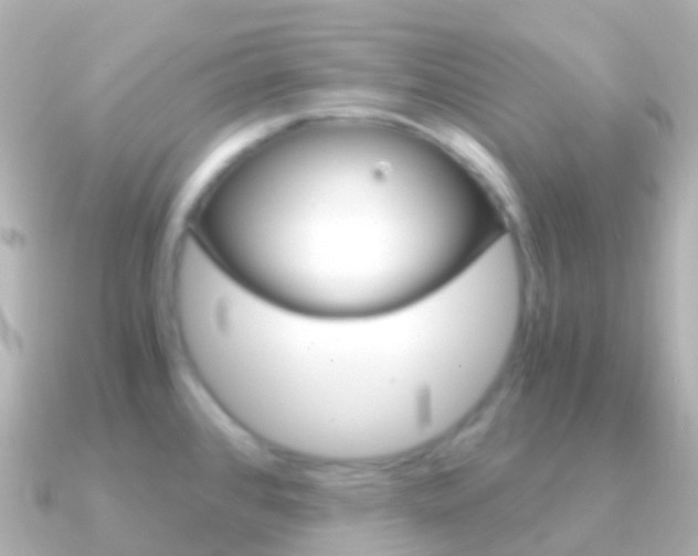 X0000091341384200708101011