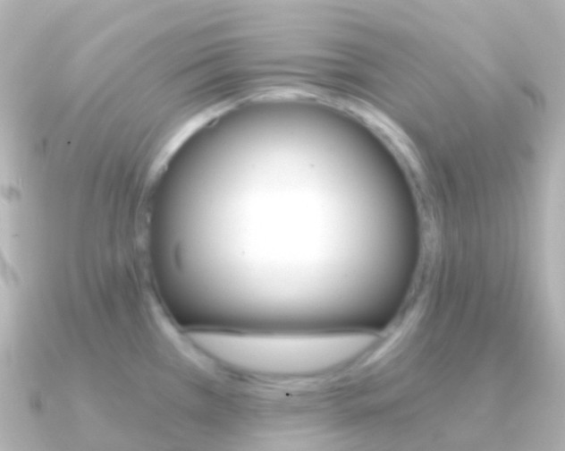 X0000091341385200708101011