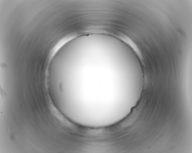 X0000091341386200708101011