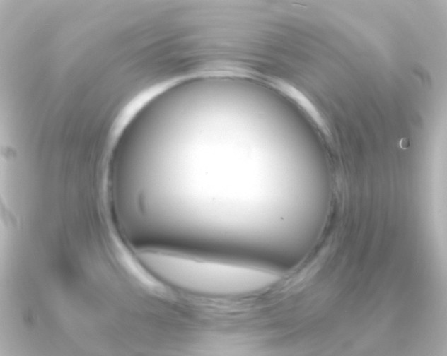 X0000091341387200708101011