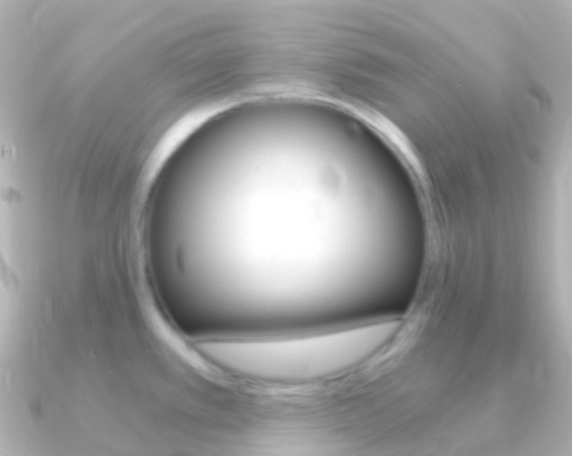 X0000091341389200708101011