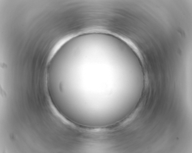 X0000091341390200708101011
