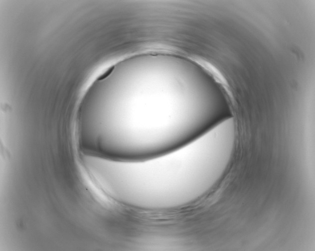 X0000091341391200708101011