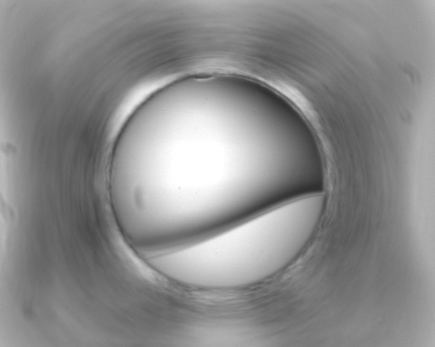 X0000091341392200708101011