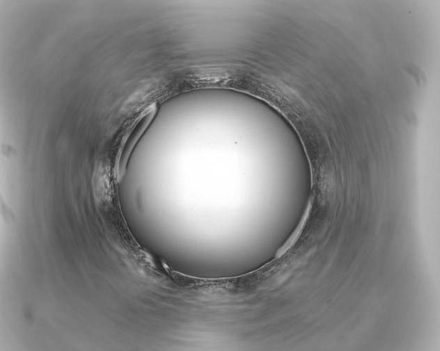 X0000091341394200708101011