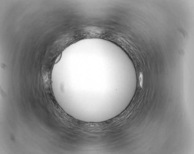 X0000091341395200708101011