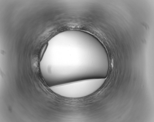 X0000091341396200708101011