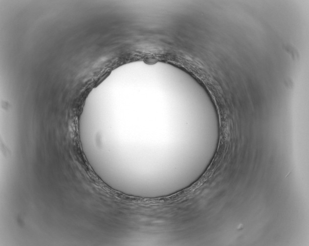 X0000091341397200708101011