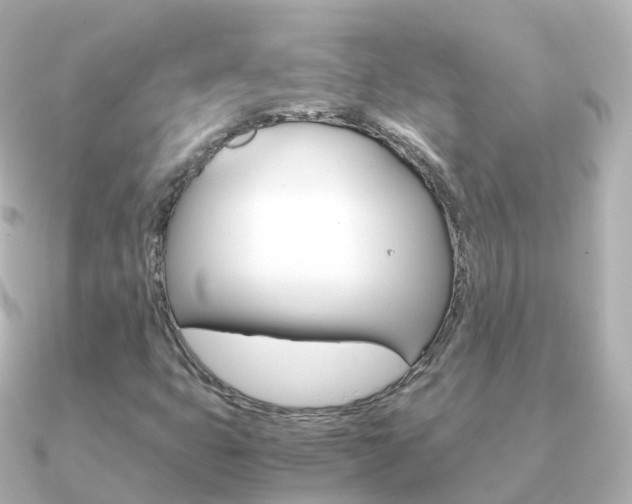 X0000091341399200708101011