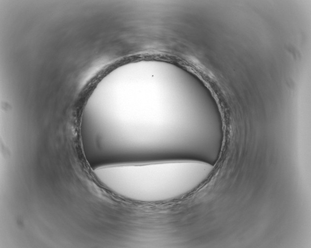 X0000091341400200708101011