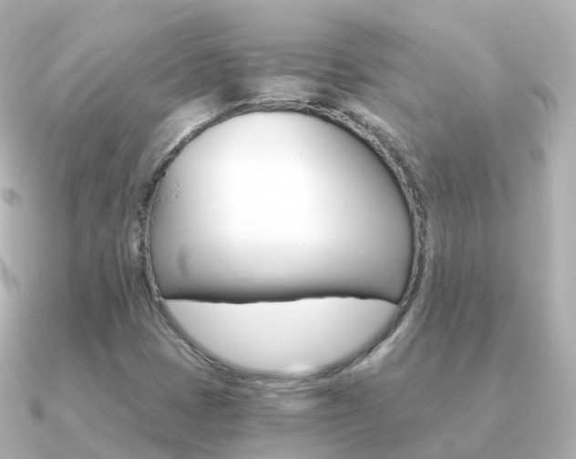 X0000091341401200708101011